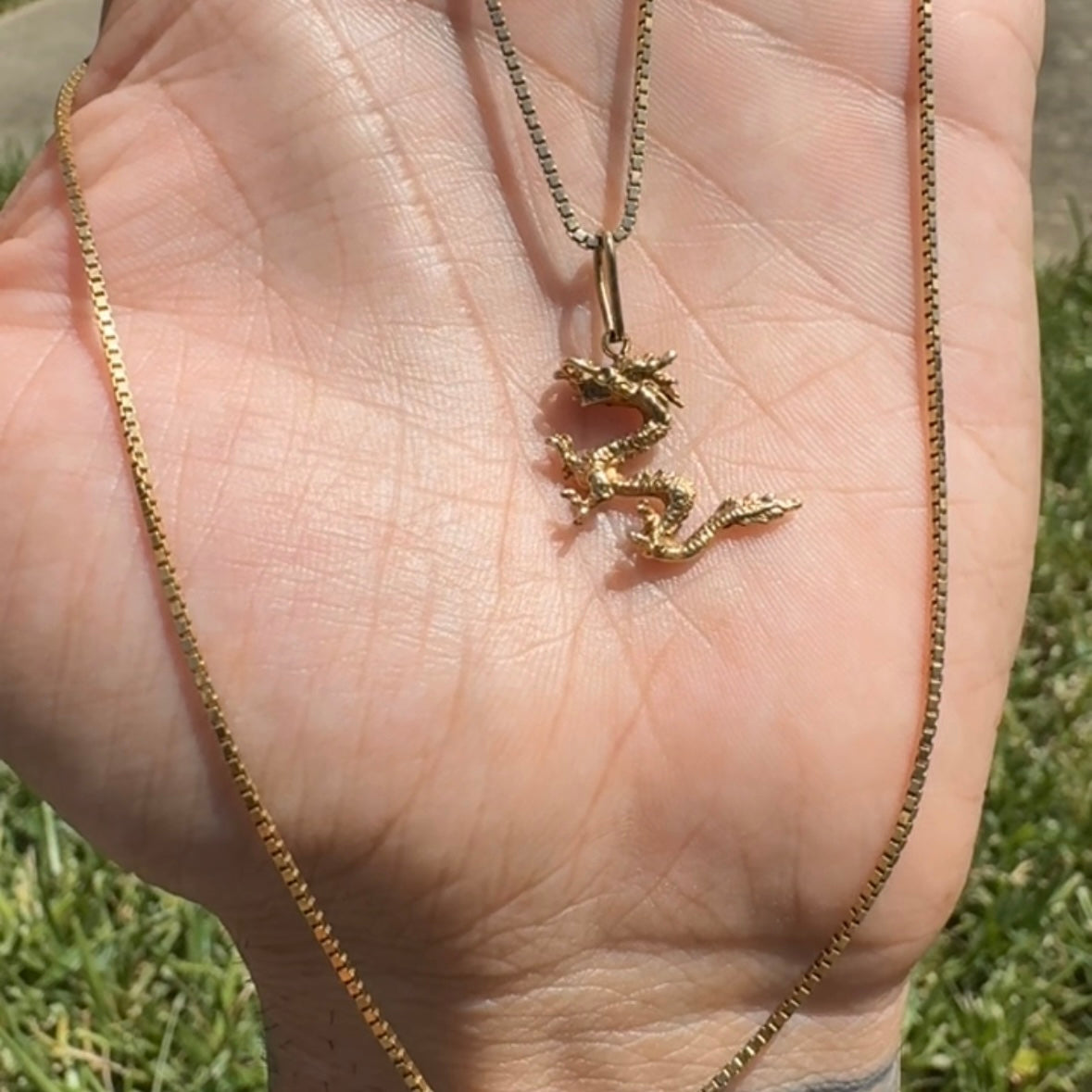 Dragon