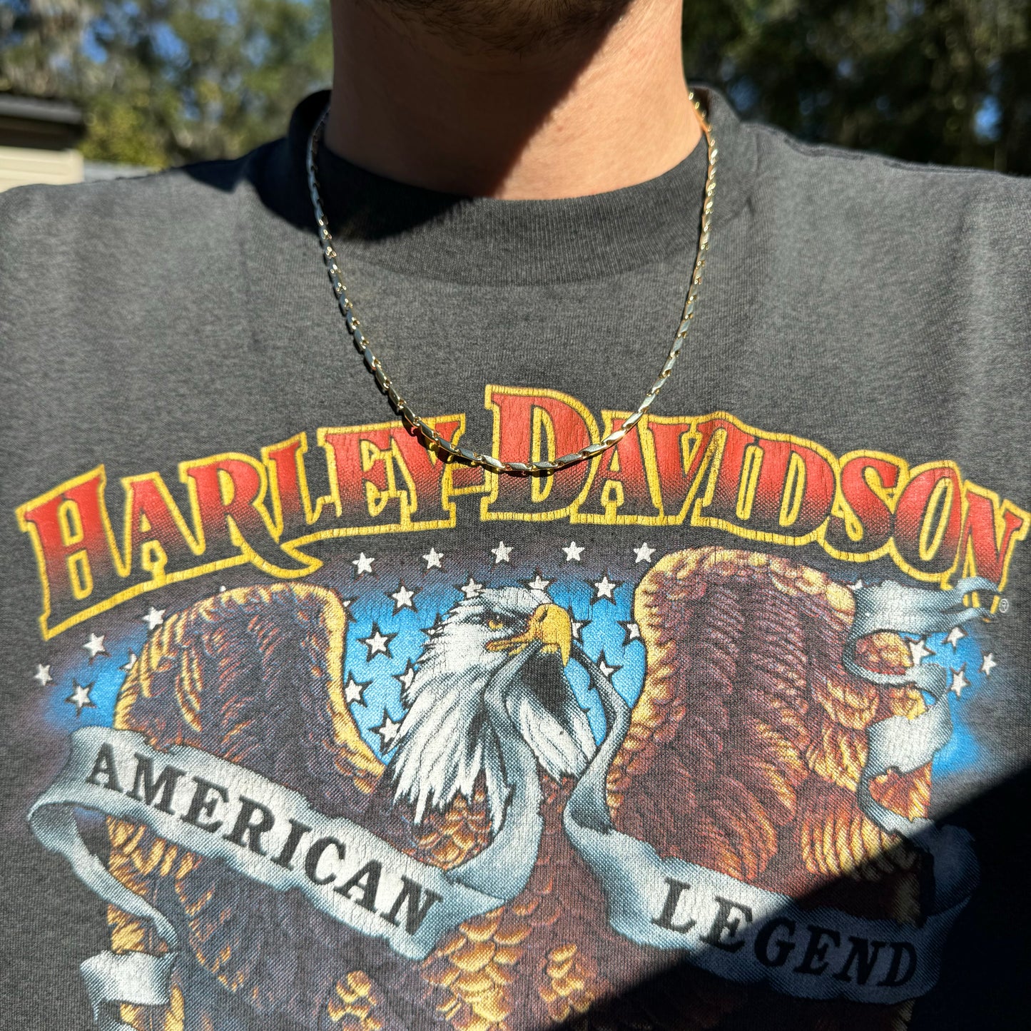 Vintage Solid 14k Yellow Gold Fish Eye Link Necklace (20.25”)