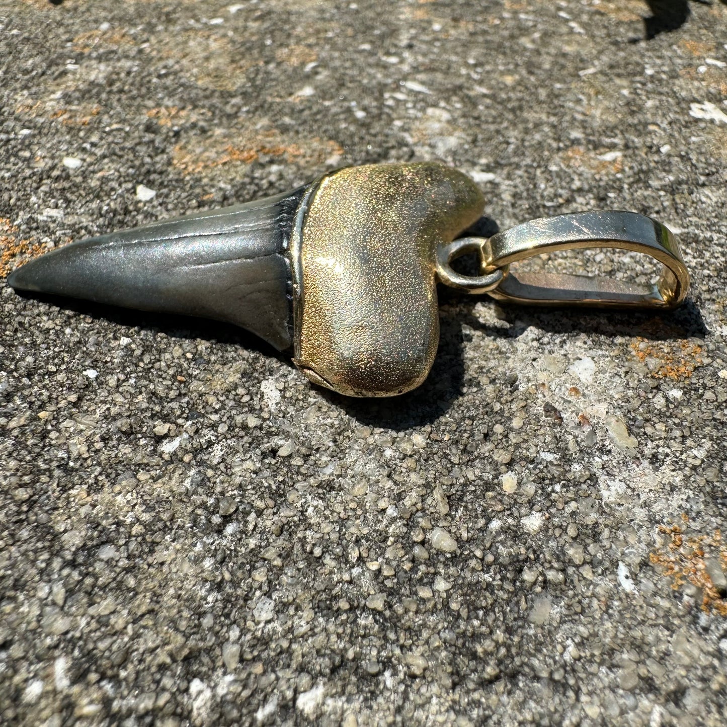 Vintage Custom 14k Yellow Gold Large Ancient Megalodon Tooth Pendant
