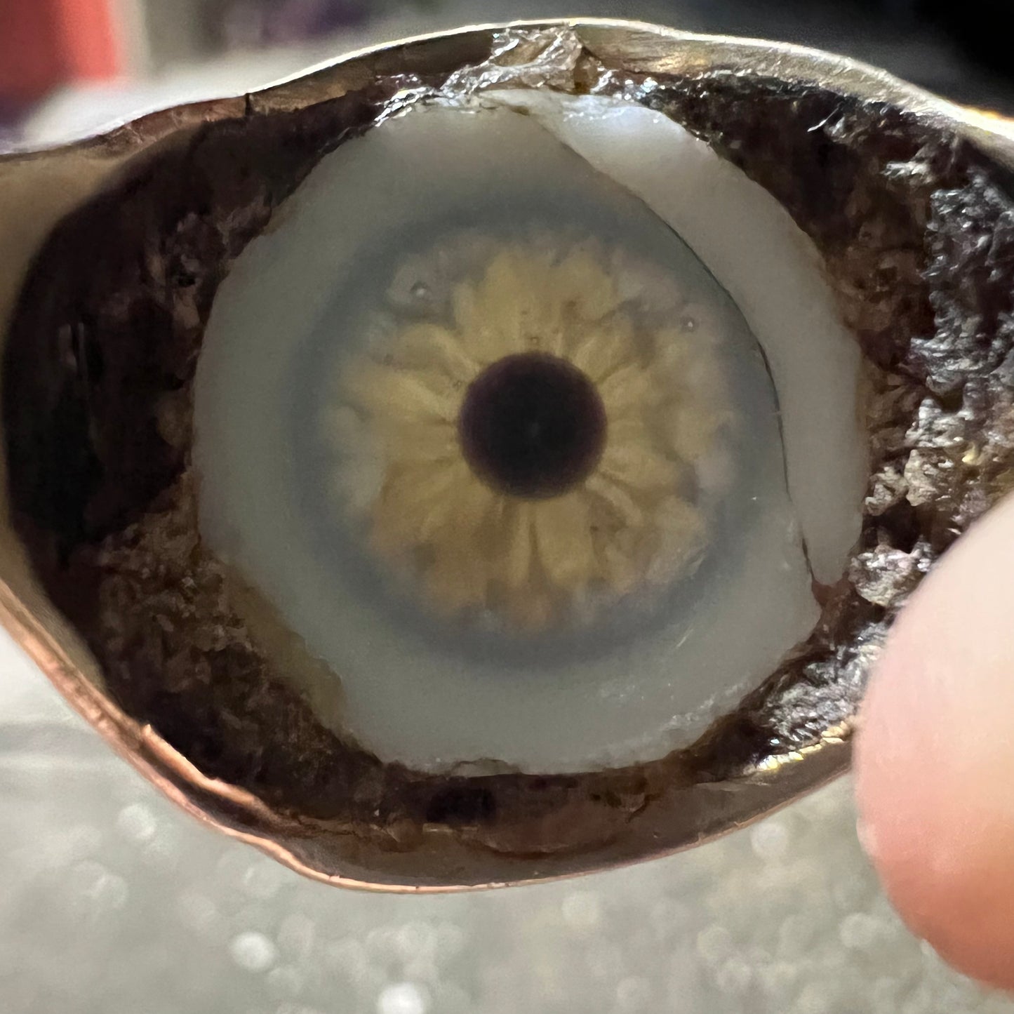 Pre-WW2 14k Prosthetic Eye Ring