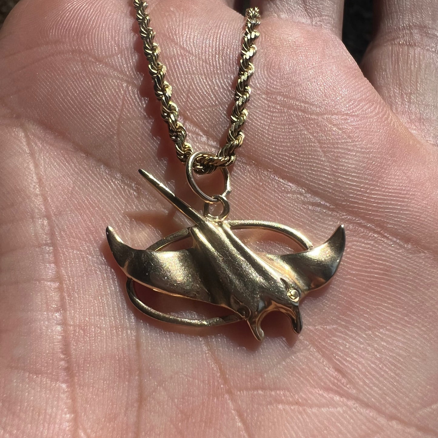 1995 14k Officially Licensed Tampa Bay Devil Rays Pendant