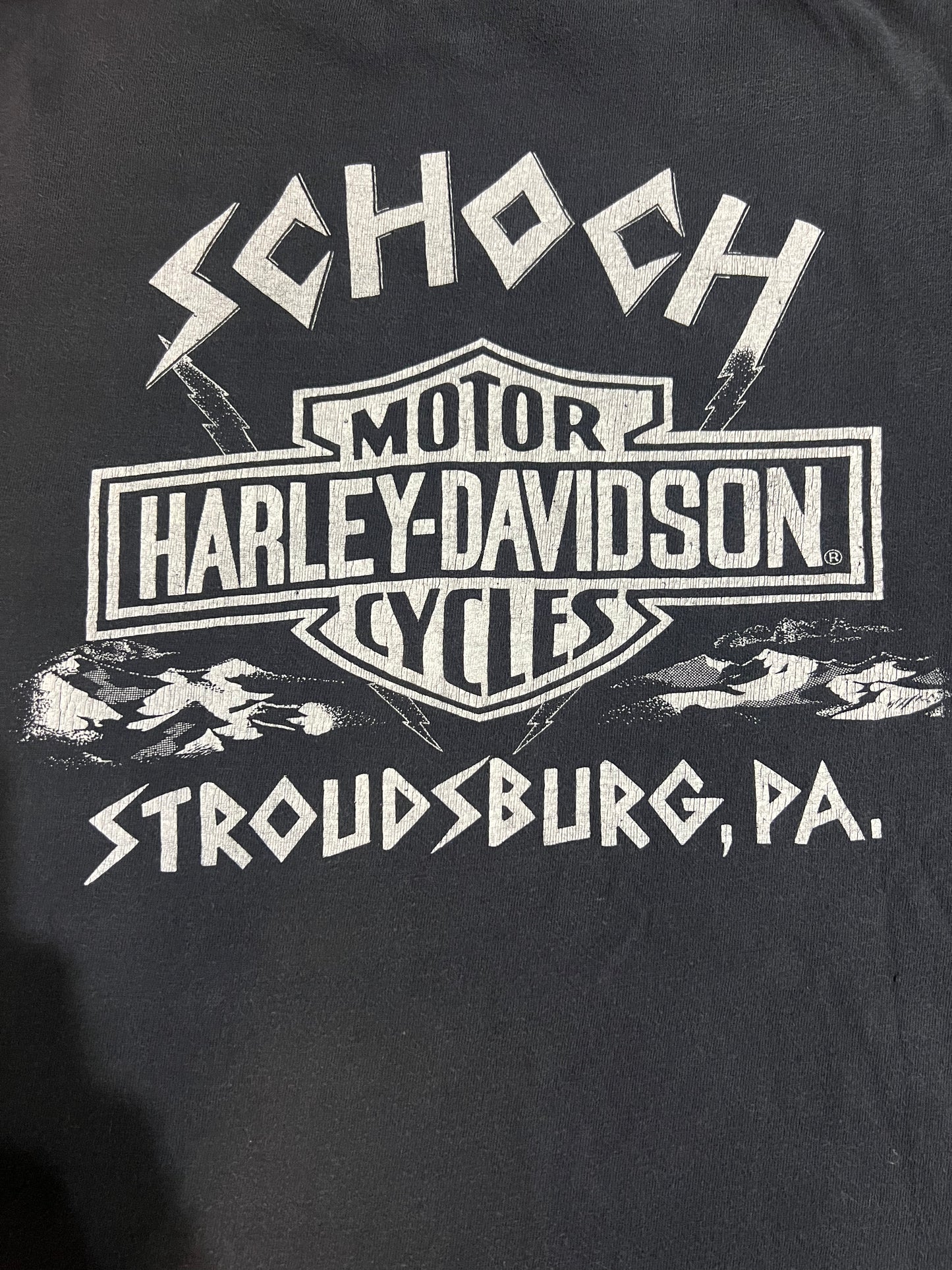 1980’s Harley-Davidson Hog Blood Shirt