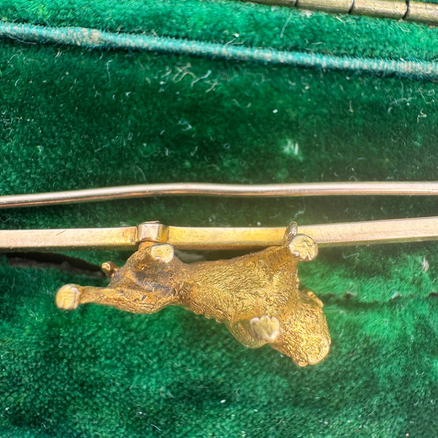 Victorian 15ct Solid Yellow Gold English Bulldog Brooch