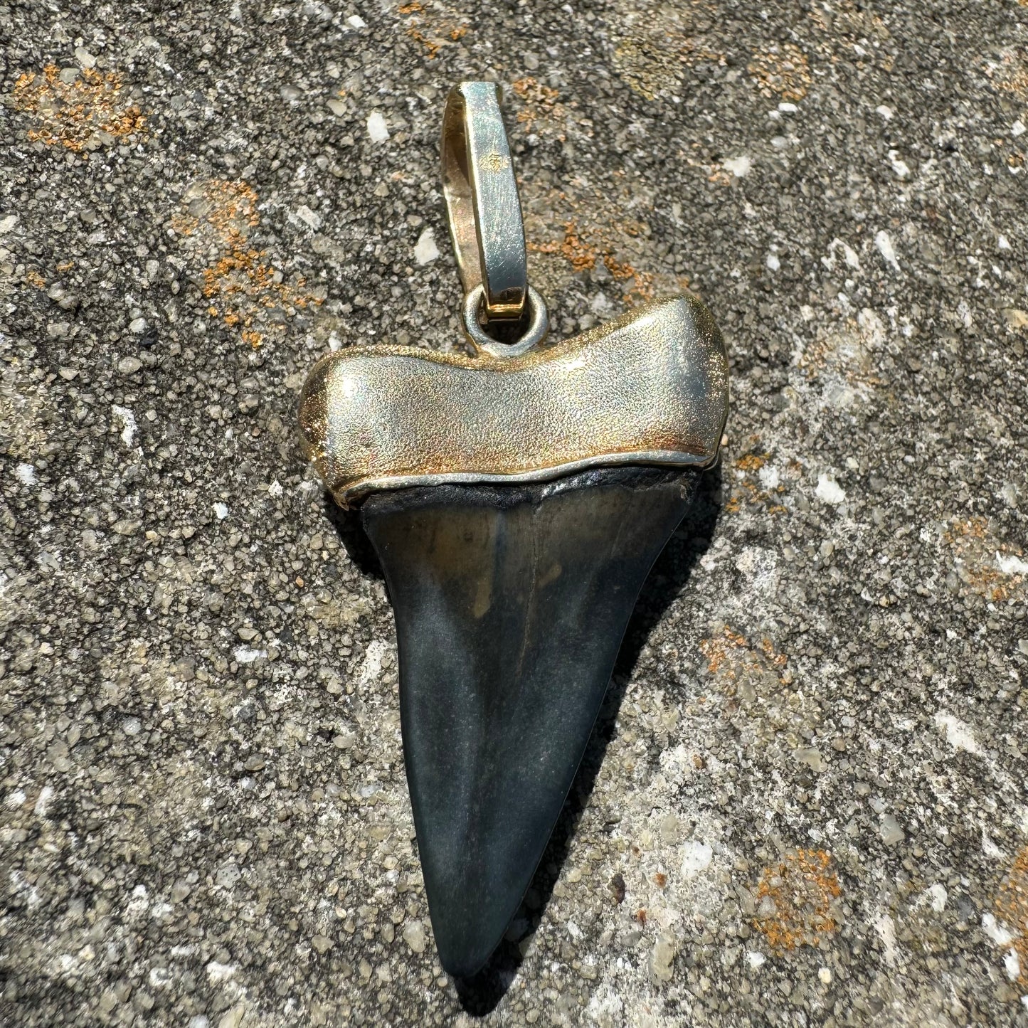 Vintage Custom 14k Yellow Gold Large Ancient Megalodon Tooth Pendant