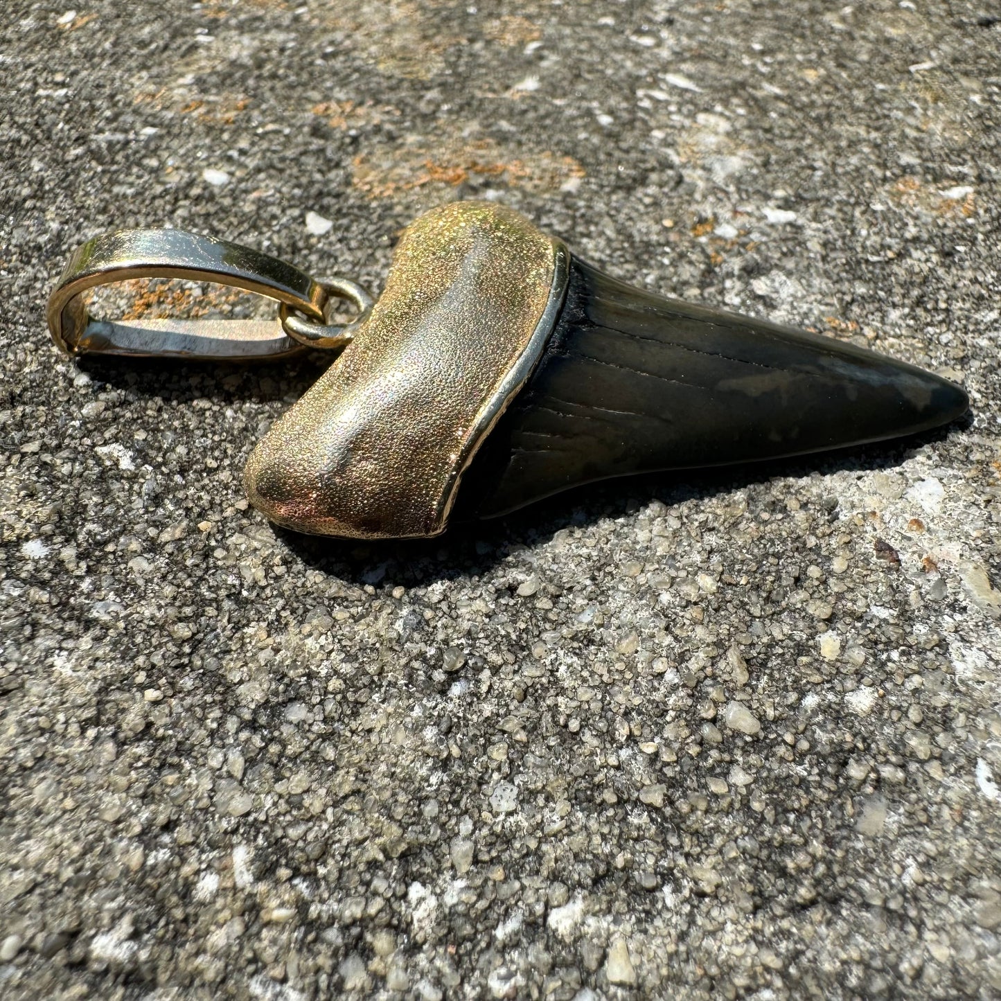 Vintage Custom 14k Yellow Gold Large Ancient Megalodon Tooth Pendant