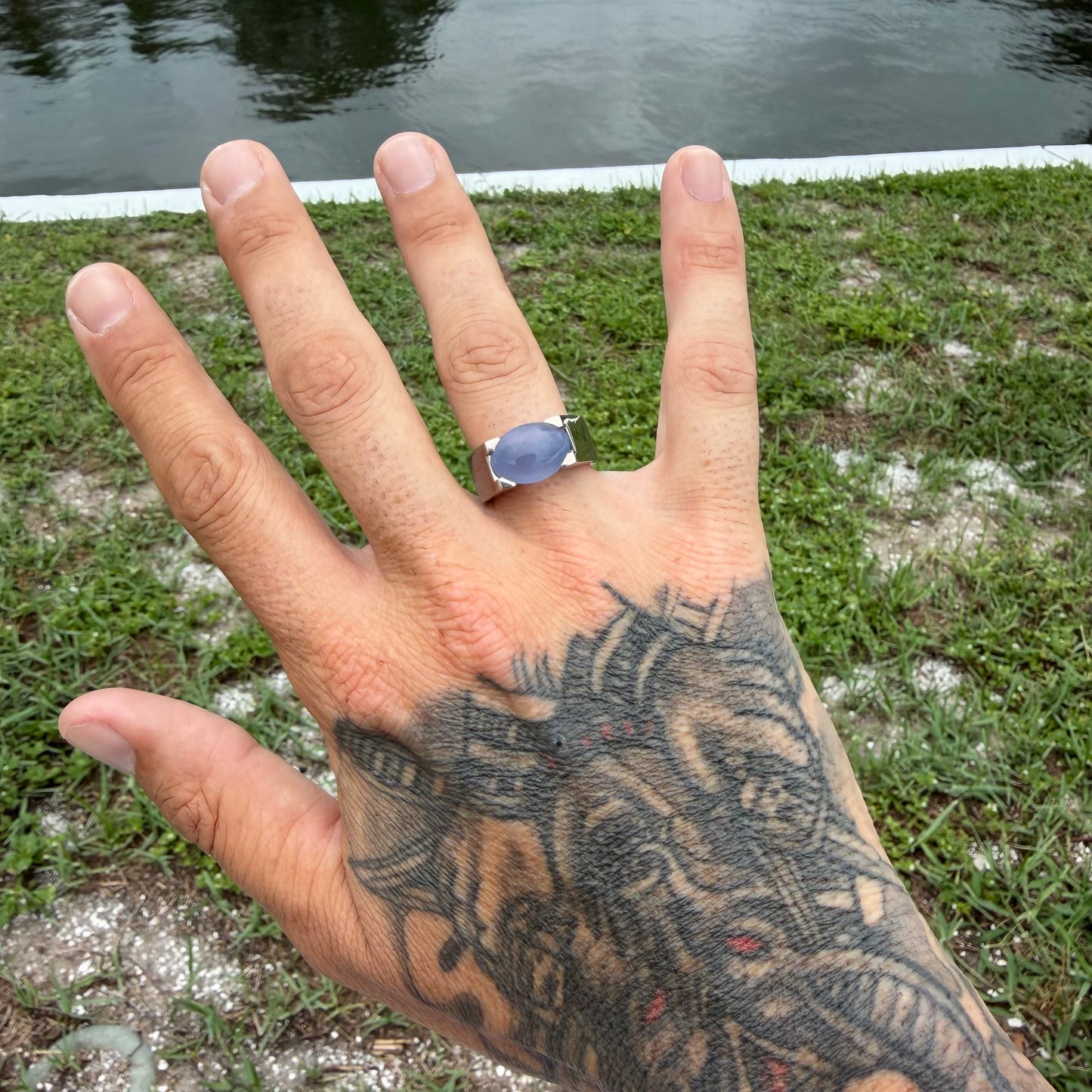 1999 Cartier Solid 18k White Gold Tankissme Chalcedony Ring (8)