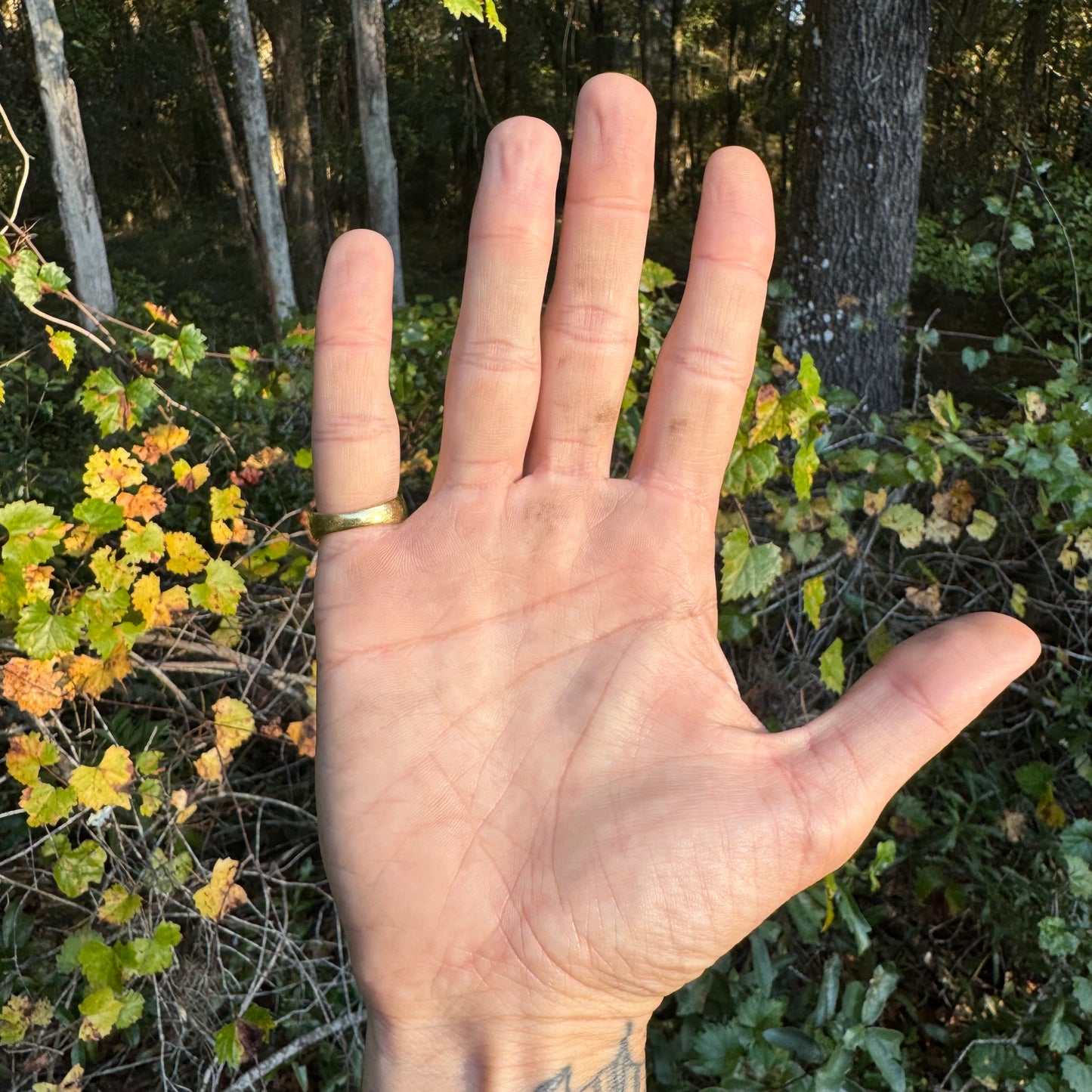 Vintage Solid 18k Yellow Gold 2.5ctw Invisible Set Natural Diamond Signet Ring (6.75)