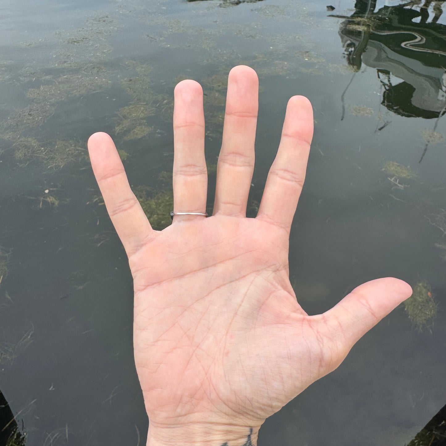 Antique Platinum 2.50ctw Natural Old Cut Diamond Ring (8)