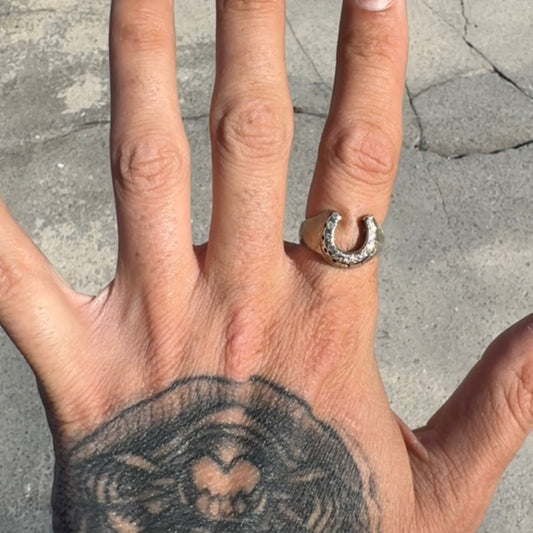 14k horseshoe