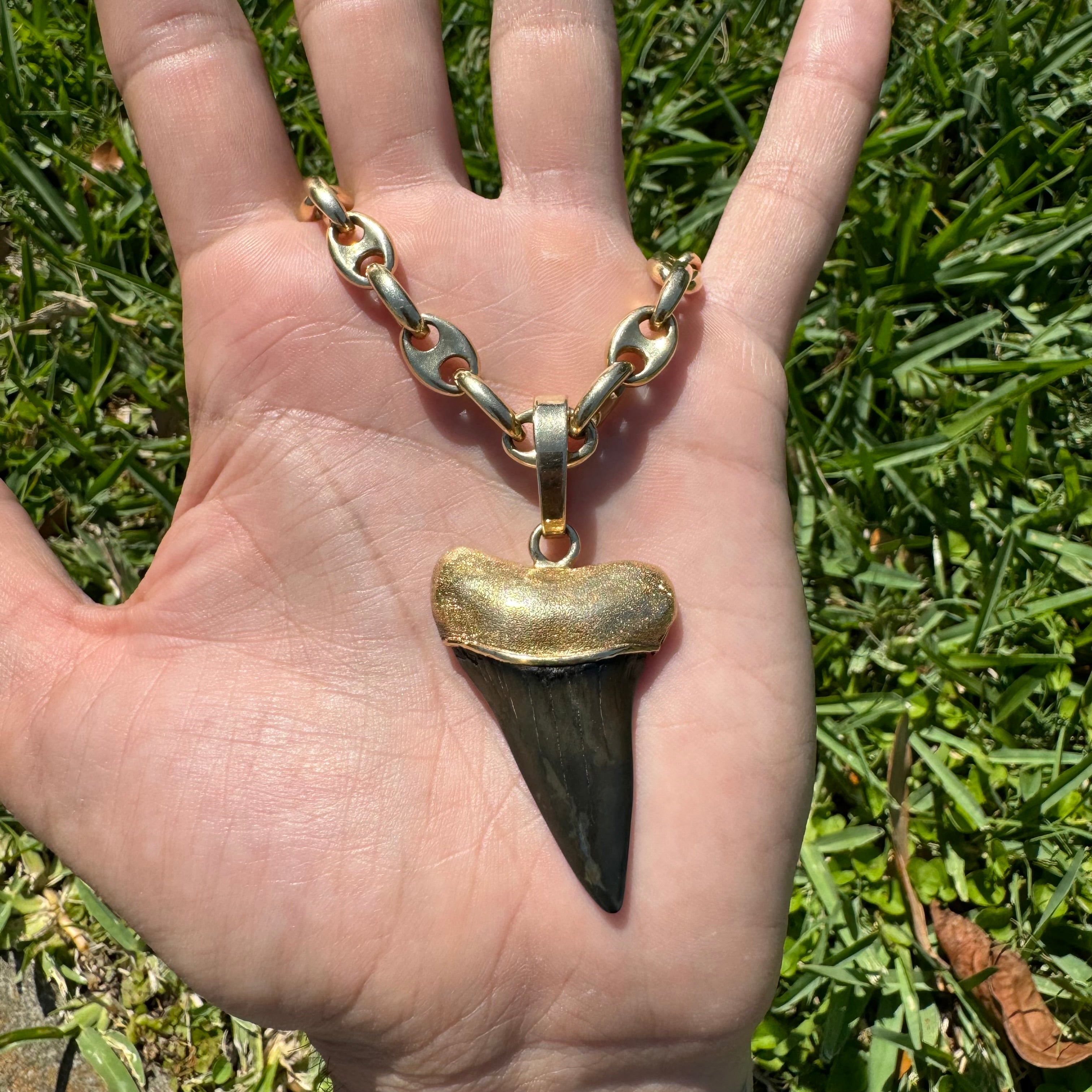 Purchases MEGLADON TOOTH PENDANT!