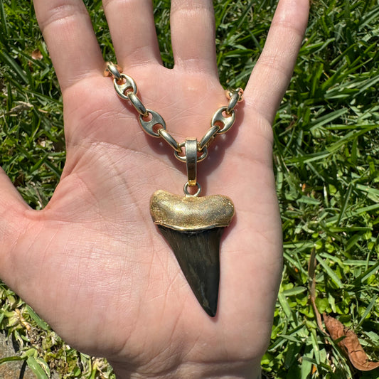 Vintage Custom 14k Yellow Gold Large Ancient Megalodon Tooth Pendant