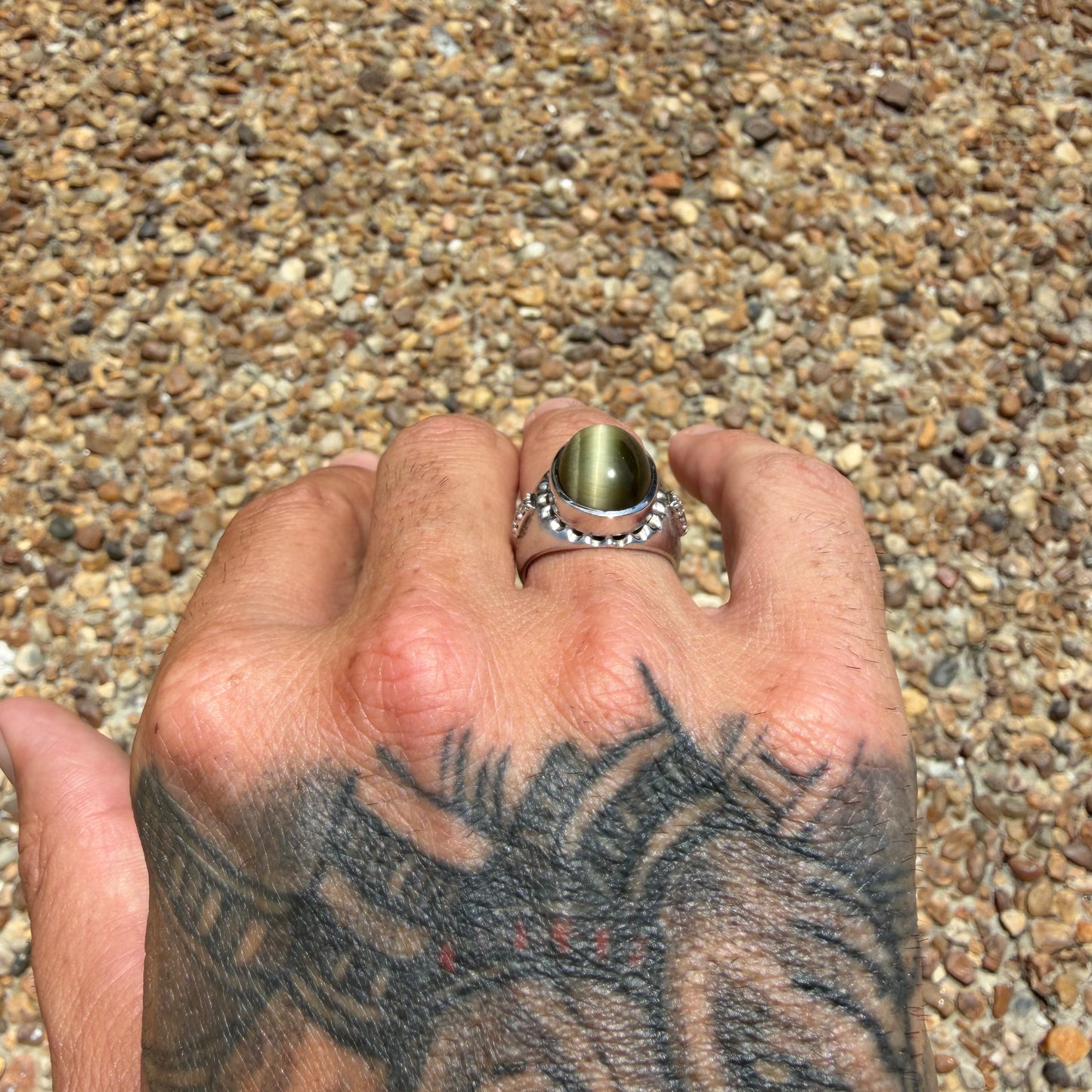 Mid-Century Solid 14k White Gold 7.25ctw Natural Chrysoberyl Cats Eye And Diamond Gents Ring (8.5)
