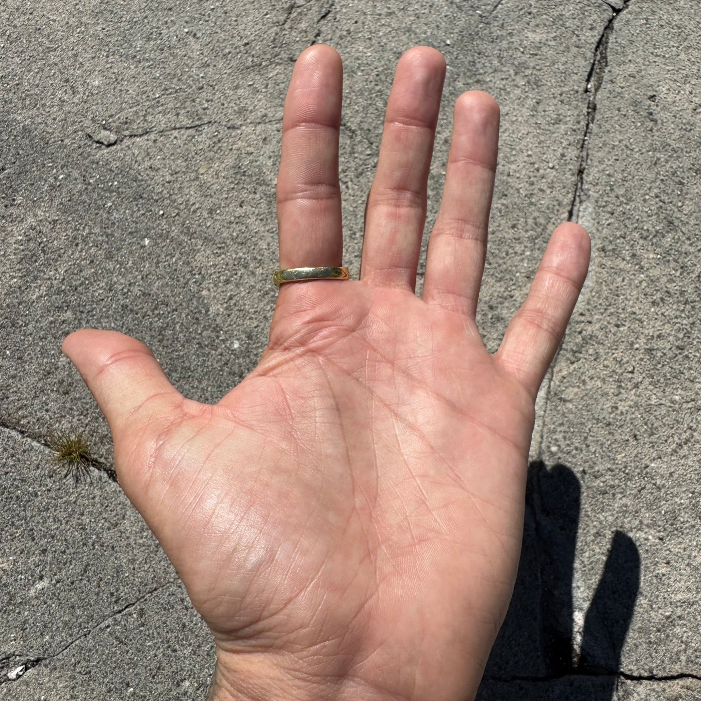 Antique Art Nouveau Solid 18k Yellow Gold Bloodstone Signet Ring (10)