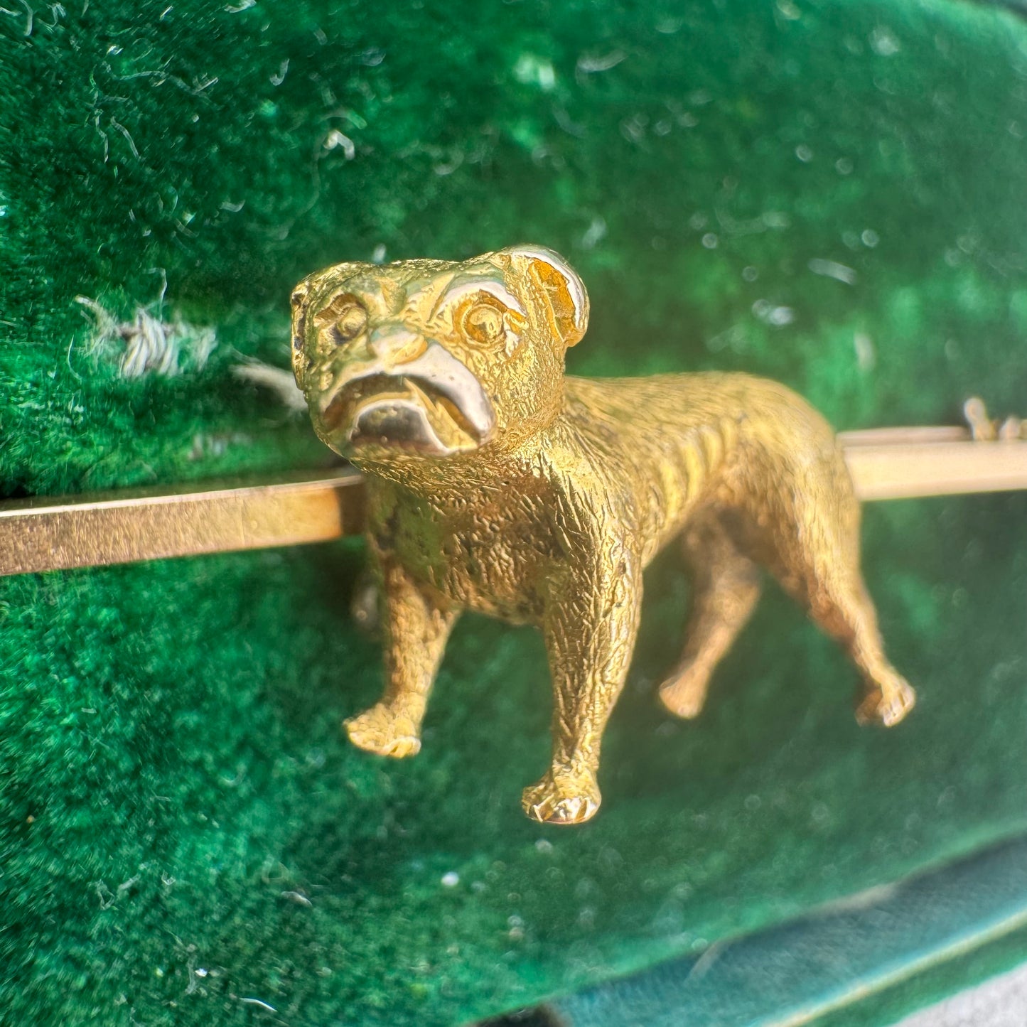 Victorian 15ct Solid Yellow Gold English Bulldog Brooch