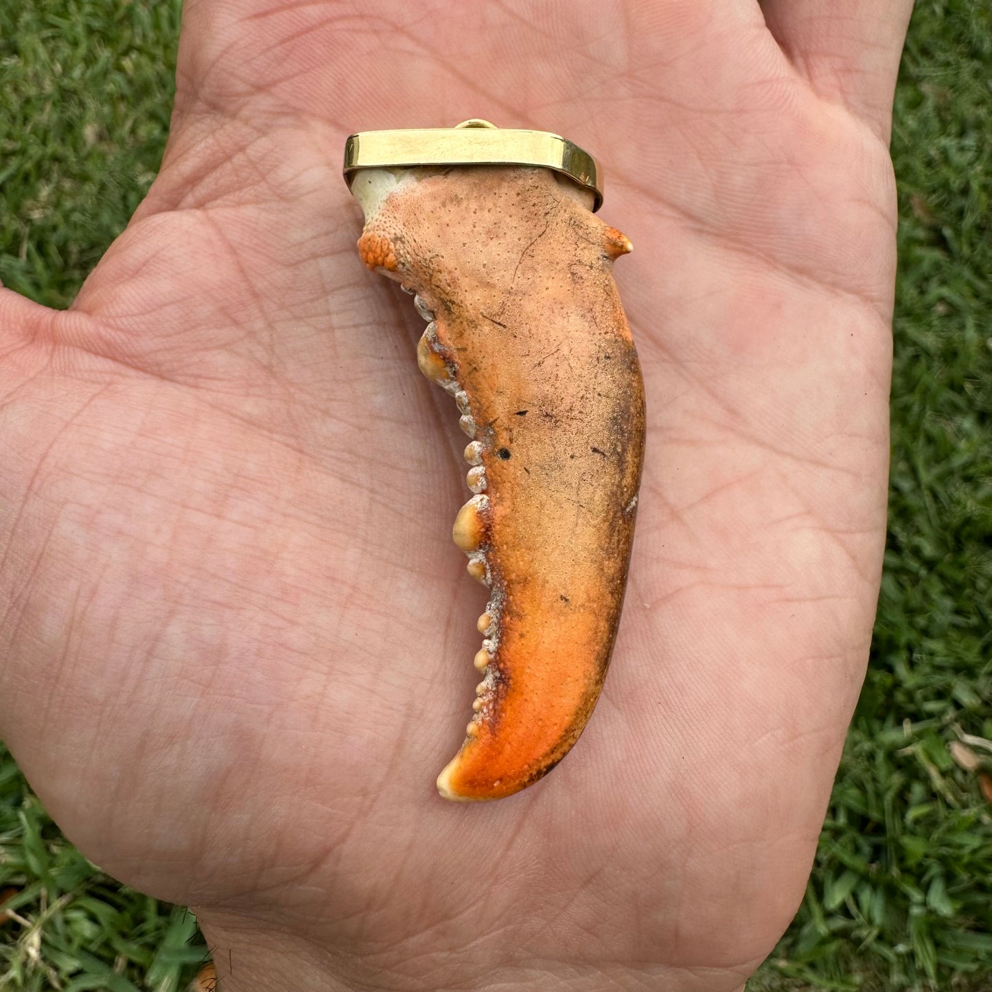 Old 18k Yellow Gold Custom One Of A Kind Handmade Lobster Claw Pendant