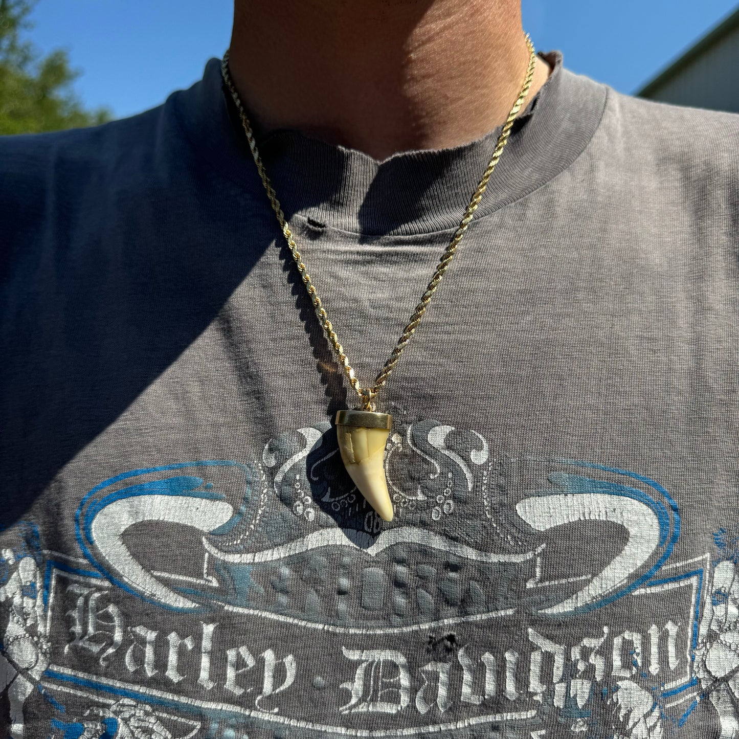 Art Deco 14k Yellow Gold Lions Tooth Pendant