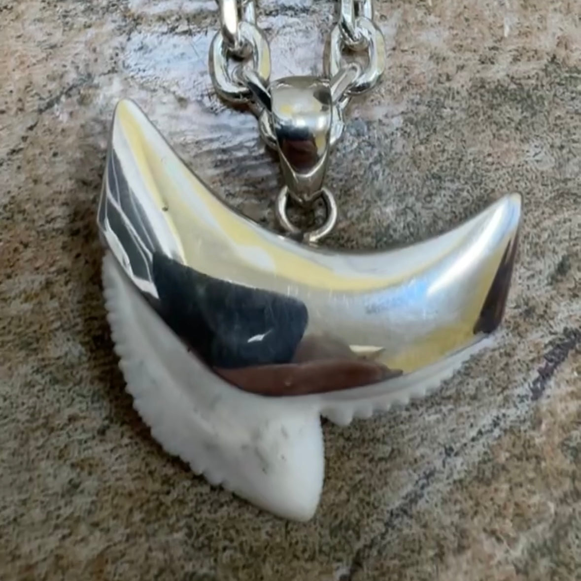 Shark tooth necklace