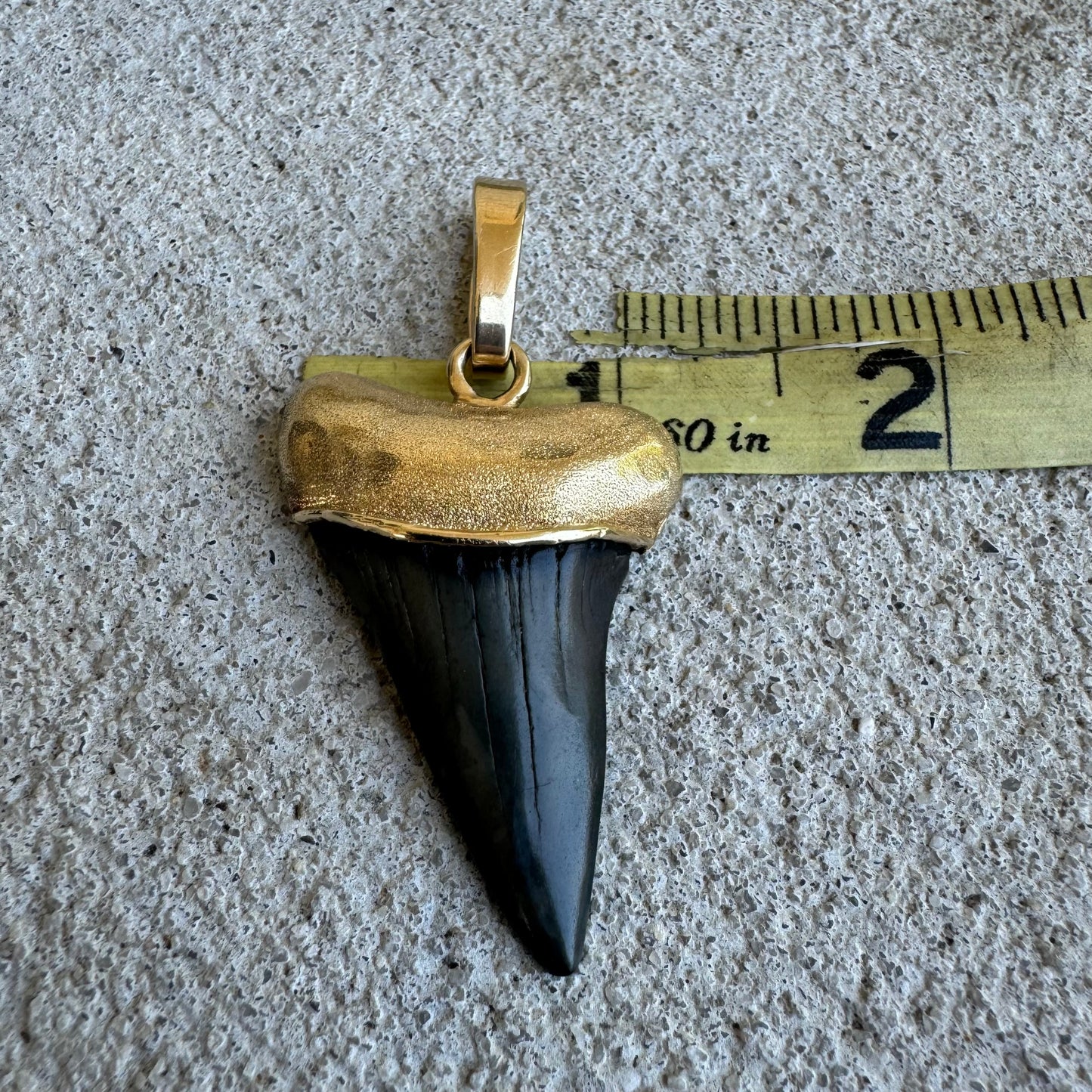 Vintage Custom 14k Yellow Gold Large Ancient Megalodon Tooth Pendant
