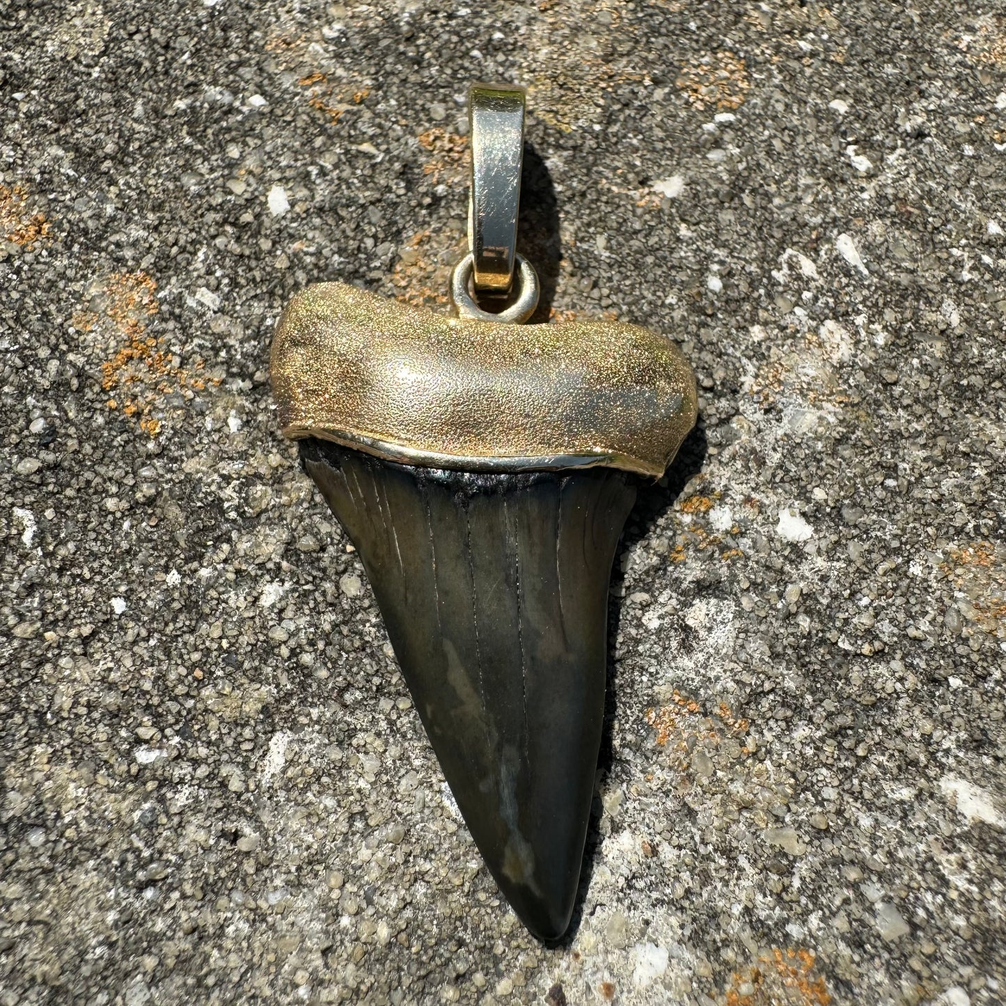 Vintage Custom 14k Yellow Gold Large Ancient Megalodon Tooth Pendant