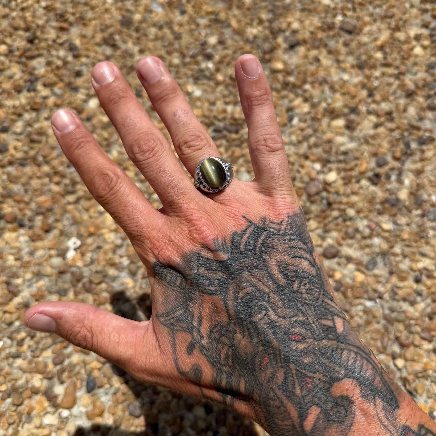 Mid-Century Solid 14k White Gold 7.25ctw Natural Chrysoberyl Cats Eye And Diamond Gents Ring (8.5)
