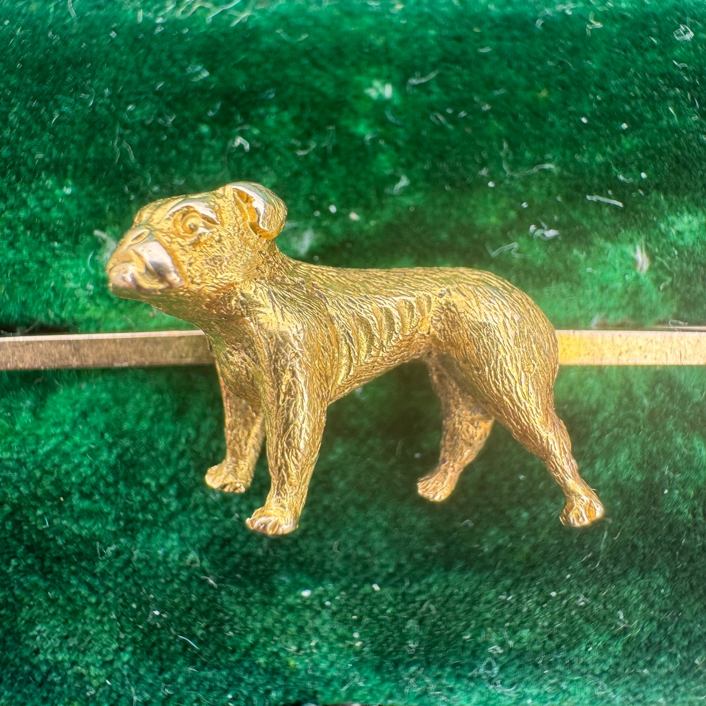 Victorian 15ct Solid Yellow Gold English Bulldog Brooch