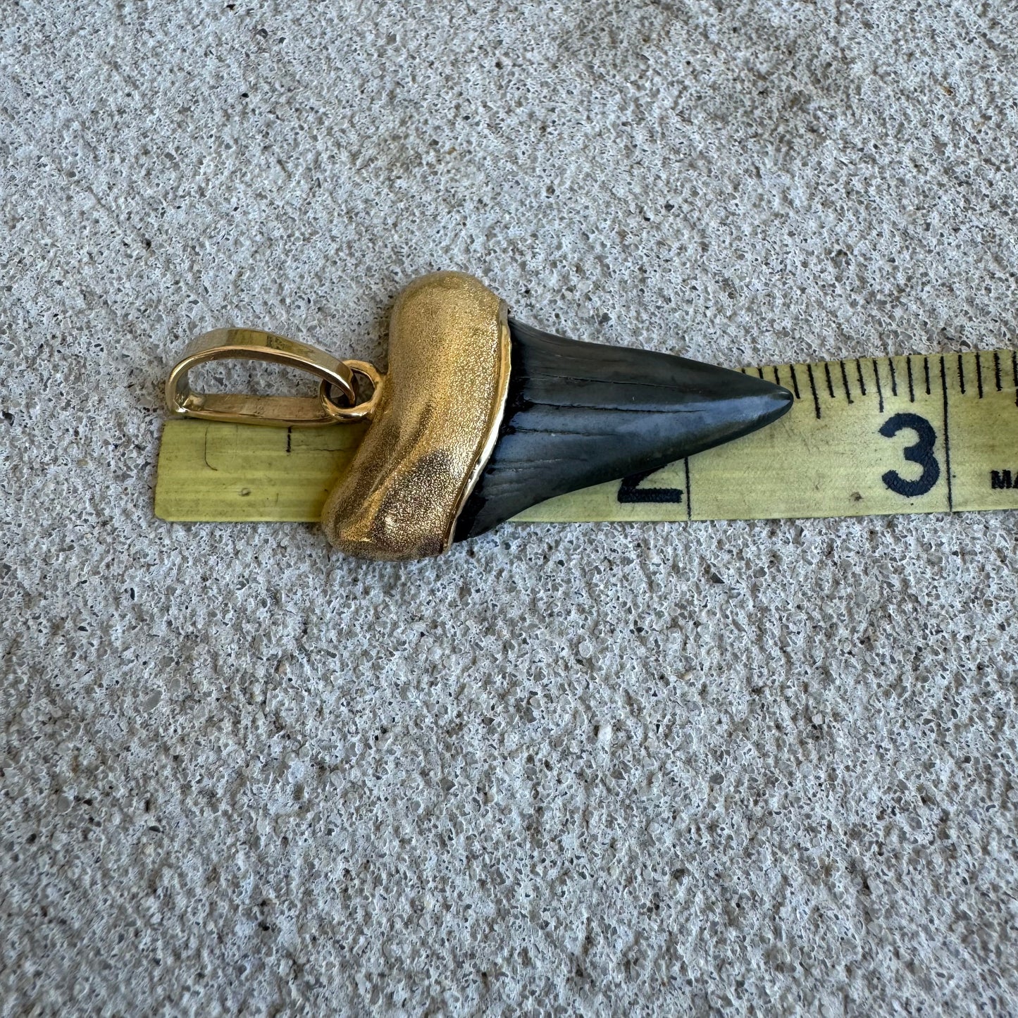 Vintage Custom 14k Yellow Gold Large Ancient Megalodon Tooth Pendant
