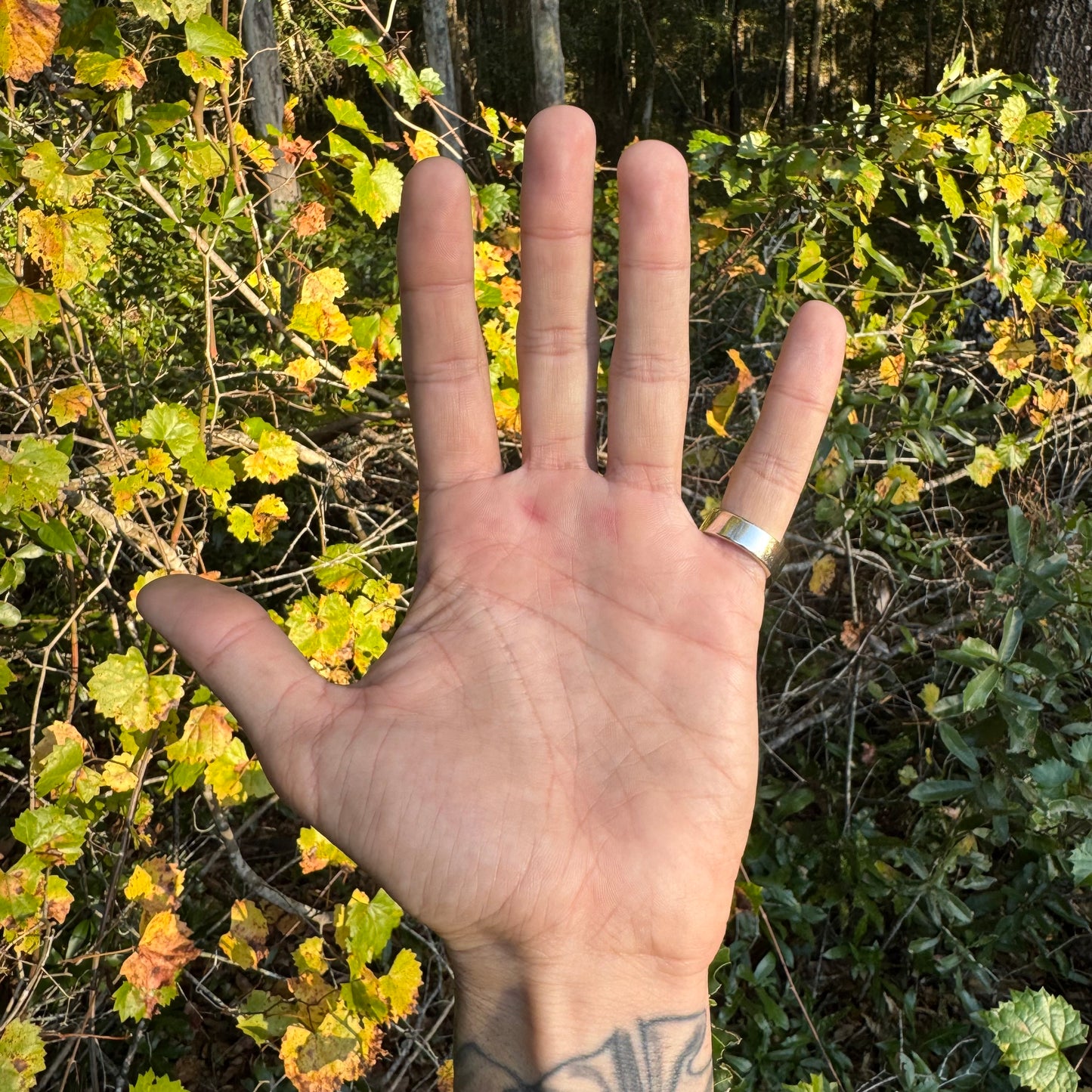 Vintage Solid 18k White Gold Invisible Set 2.5ctw VS Natural Diamond Ring (7)