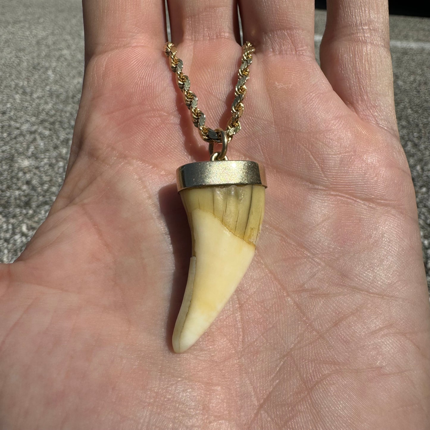 Art Deco 14k Yellow Gold Lions Tooth Pendant