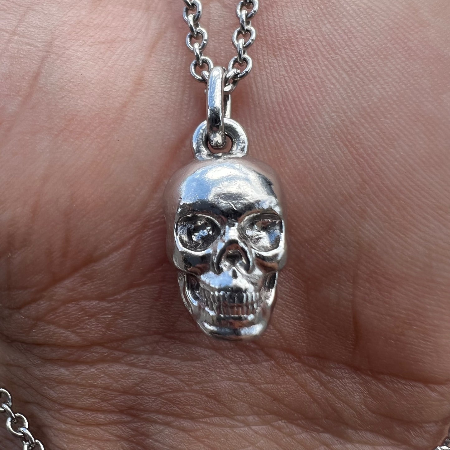 Solid Platinum Skull Pendant And Classic Link Chain By Menē