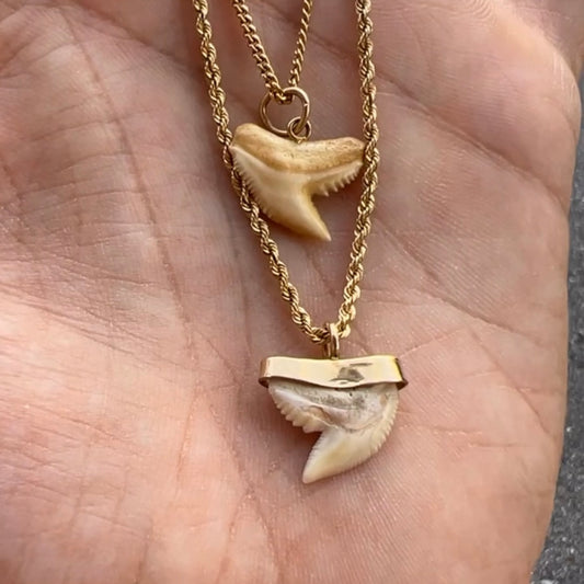 14k Shark Tooth Pendants